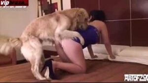 سكس مترجم