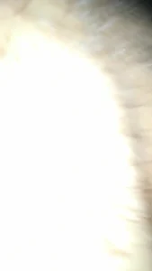 نايلة كيمي تستقبل الزب في خرم طيزها – سكس