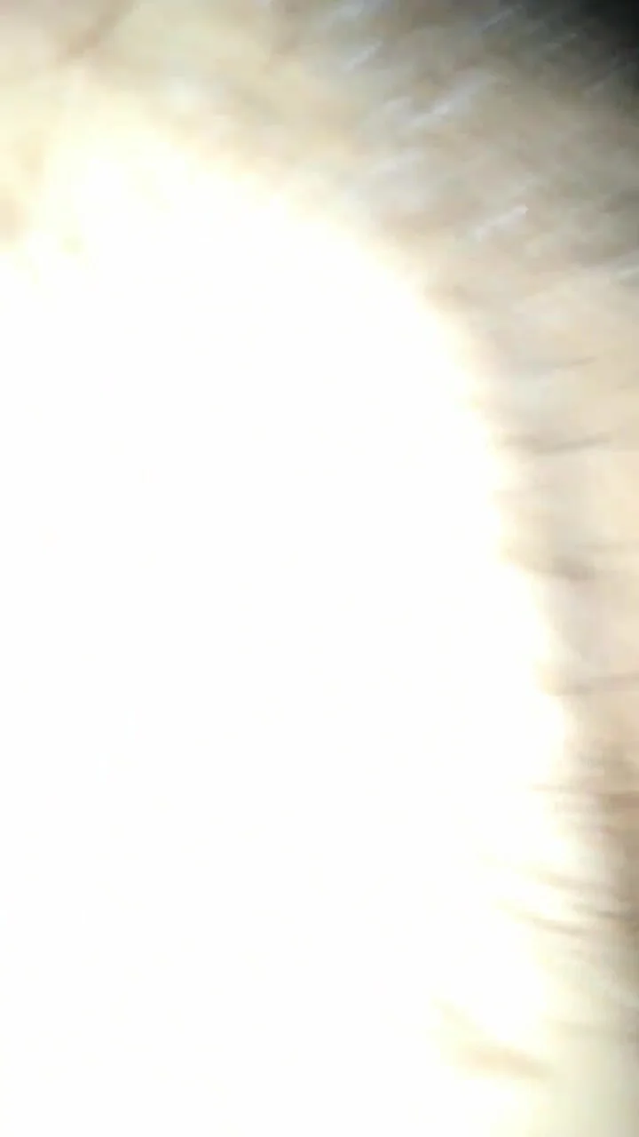 نايلة كيمي تستقبل الزب في خرم طيزها – سكس